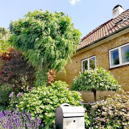 Room In A Danish Cottage With Garden View, 10 Min To Cph Gentofte Kültér fotó